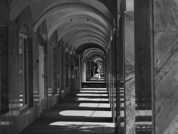 &nbsp; / A Time for Sunny Windows...