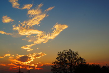 At dawn / ***