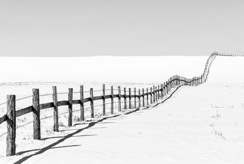 Fence / ***