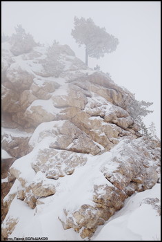 In den Bergen ... / ***