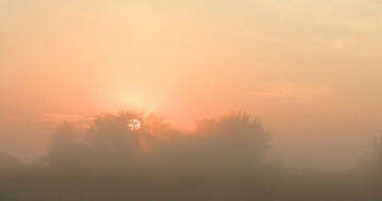 Sonnig Nebel / ***