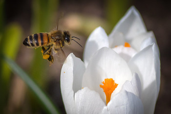 &nbsp; / -------------