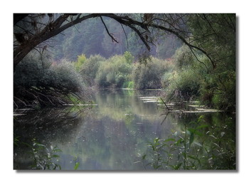 Quiet pool / ***