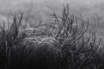 Melancholie / ***