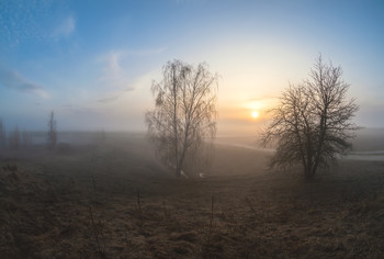 A new morning / ***