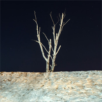 Mond / ***