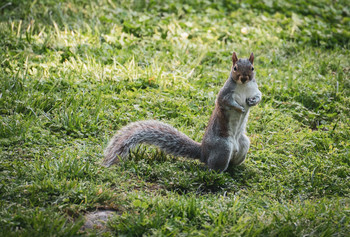 Wanna fight? / c'mon