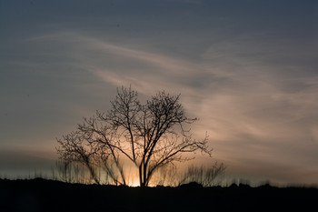Abend / ***