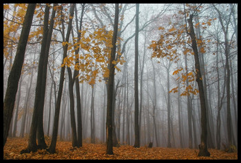 Herbst-Skizzen / ***