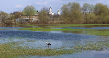 Spring flood / ***