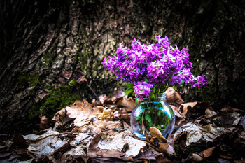 About Spring / ...