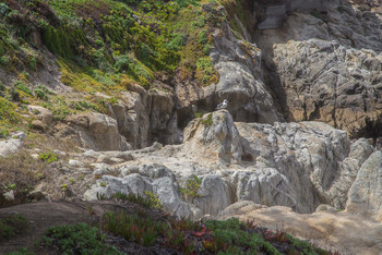 Wild Coast / ...