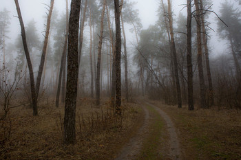 Spring mist / ***