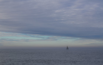 Silence / ***