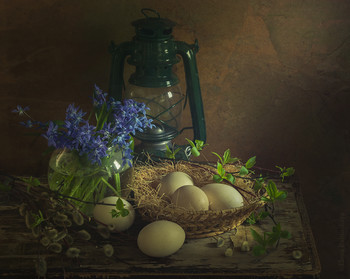 Spring / ***