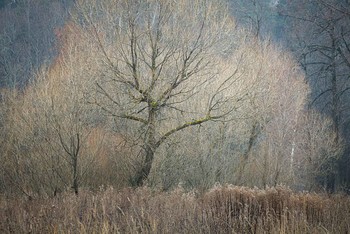 Late autumn / ***