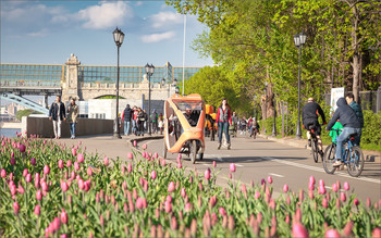 New Years is soon / ***