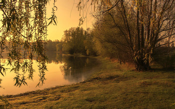 In the morning on the lake / ***