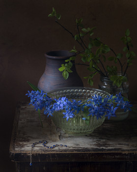 &nbsp; / __________________