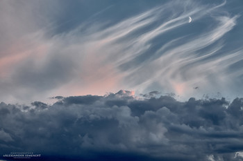 Before the storm / ***