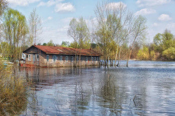 flood / ***