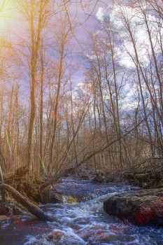 mountain River / ***