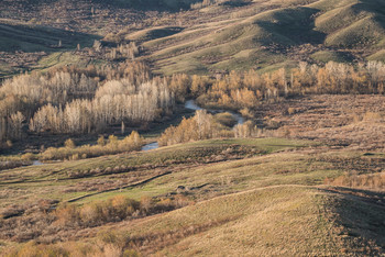 Small river / ***
