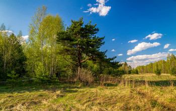 May evening / ***