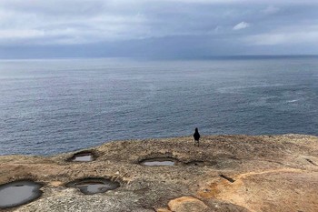 einer / ....
Australia