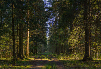 Erwachen / ***
