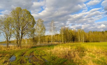 Spring is coming / ***