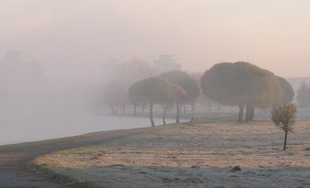 Morgennebel ... / ***