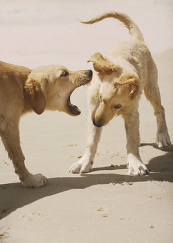 relationship / Vietnam