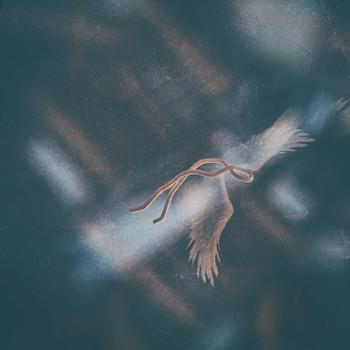 falling ... / ***