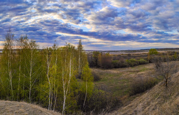 Spring Bank / ...
