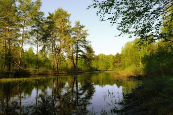 Spring River / ***