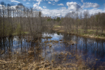 High water / ***