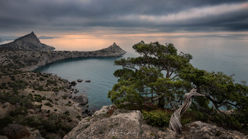 Cape Kapchik / ***