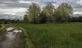Nach dem Regen / ***