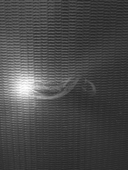 You, snake! / Im Giger-Universum