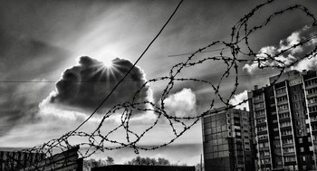behind the fence ... / ***