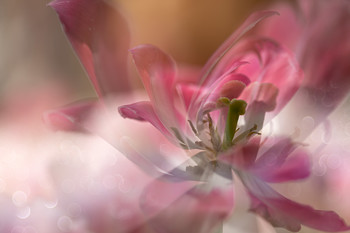 Through space and time... / 2021