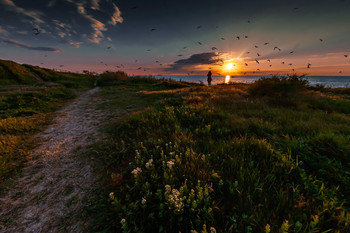 Sunset / ***