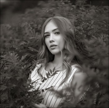 Nika / ***