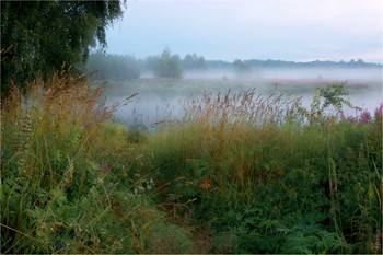 Path / ***