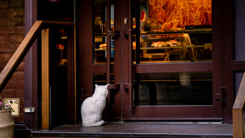 Der erste Besucher / ***