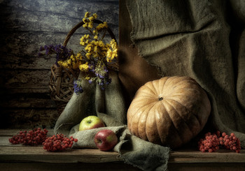 Still life with pumpkin / ***