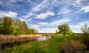 Frühlingsbilder / ***