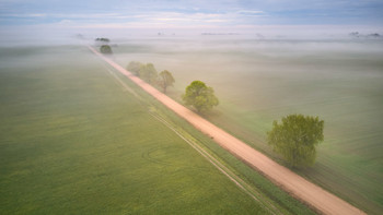 Foggy spring road / ***