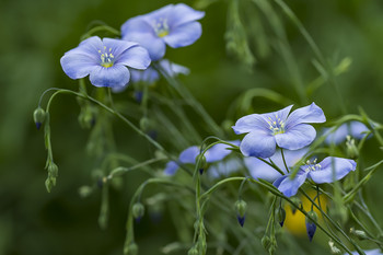 Tenderness / ***